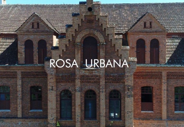 Vitrine Rosa Urbana