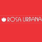 Foto perfil 